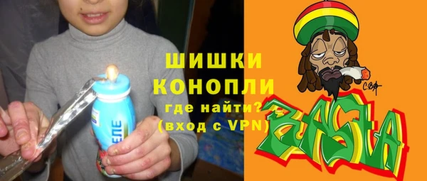 соль ск Вяземский