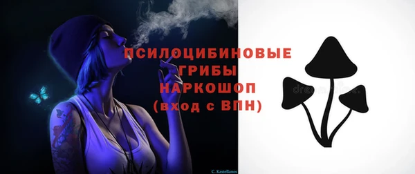 соль ск Вяземский