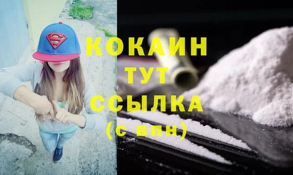 соль ск Вяземский