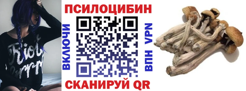 Галлюциногенные грибы прущие грибы  Купить где  Зеленокумск 